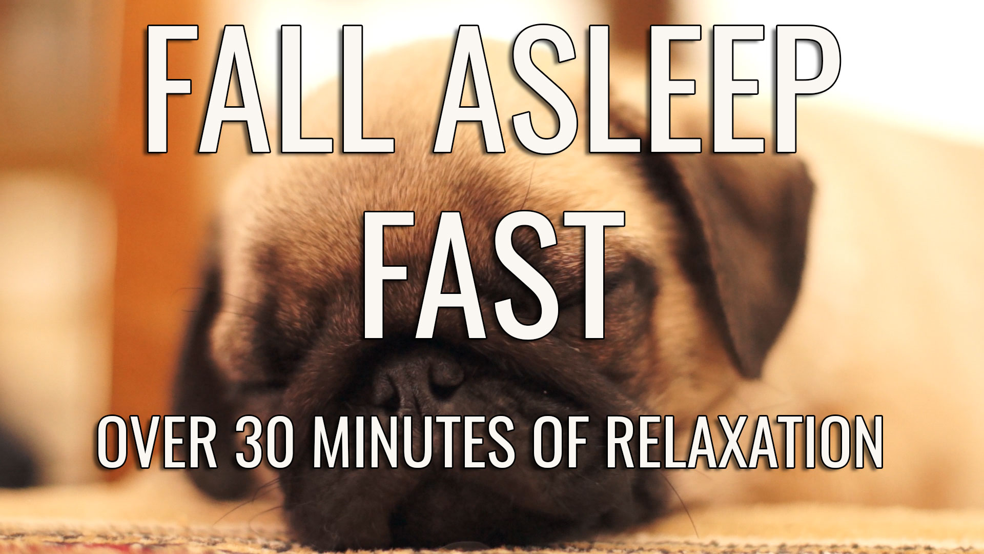 Süßer Mops Welpe beim Schlafen.